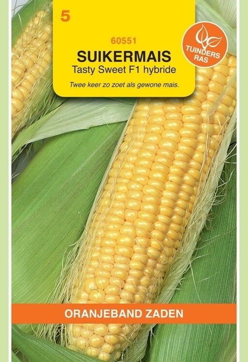 Suikermais Tasty Sweet F1 Hybride Oranjeband