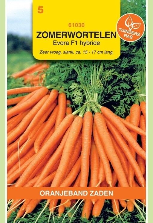 Zomerwortelen Evora F1 Hybride Oranjeband