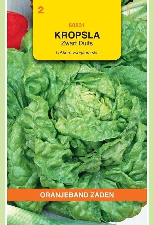 Kropsla Zwart Duits Oranjeband