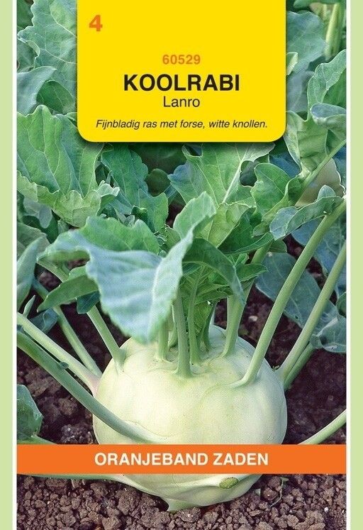 Koolrabi Lanro (Wit) Oranjeband