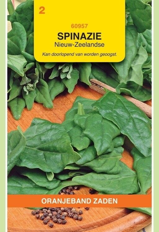 Spinazie Nieuwzeelandse Oranjeband
