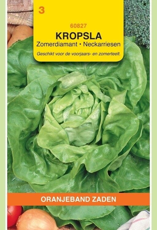 Kropsla Zomerdiamant Oranjeband