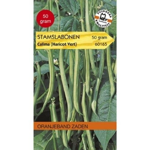 Stamslabonen Calima (Haricots Verts) Oranjeband