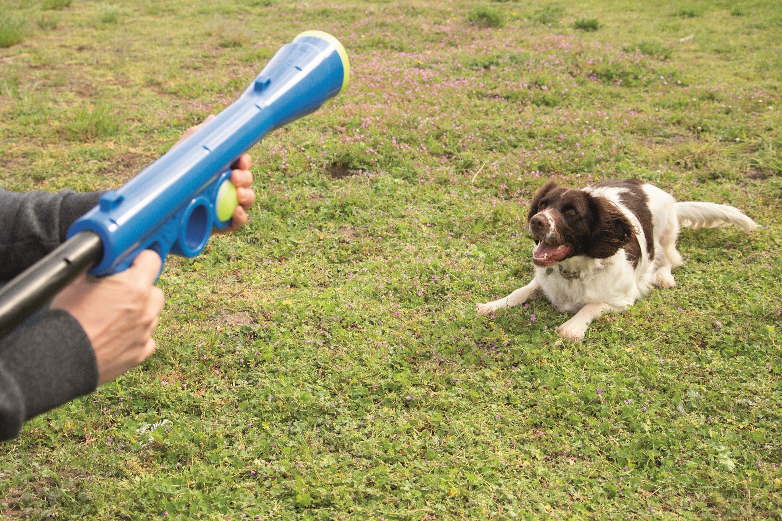 Beeztees Fetch ballenschieter