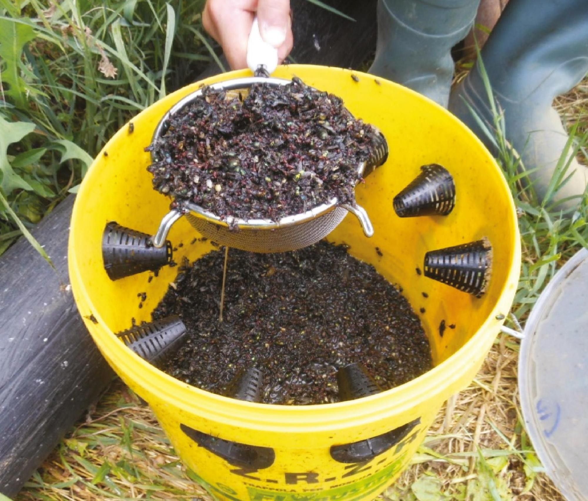 Flybuster Trap vliegenval 6ltr