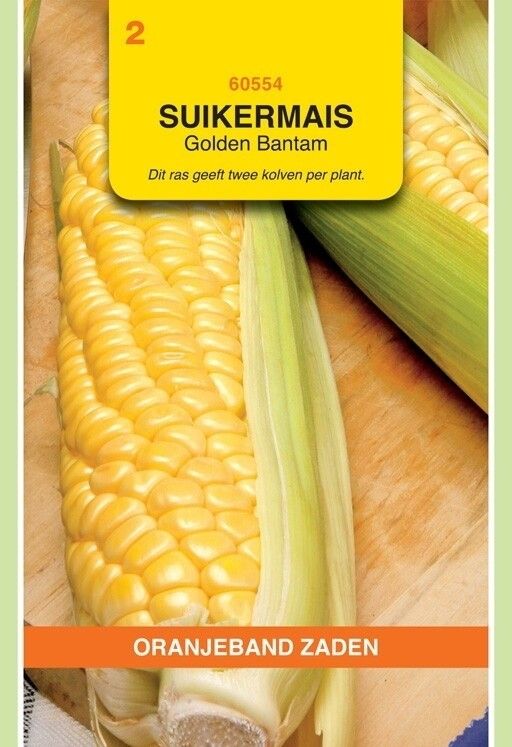 Suikermais Golden Bantam Oranjeband