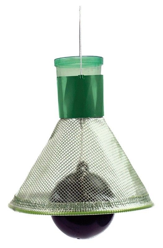 Dazenval / wespenval MT-Trap