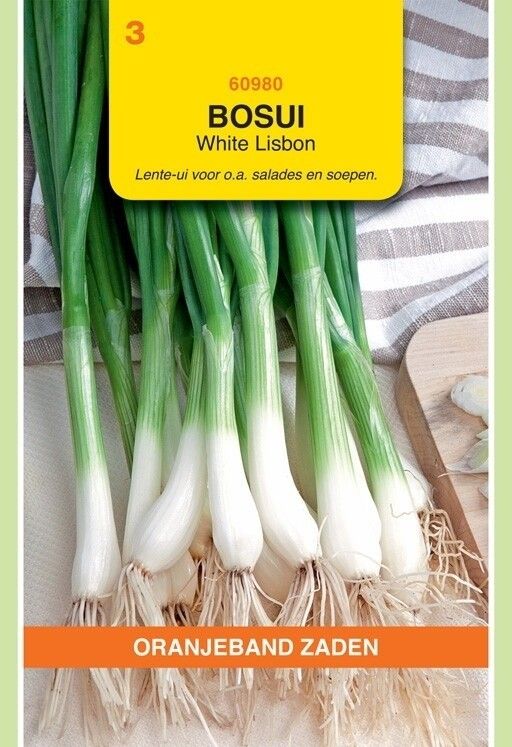 Bosui White Lisbon Oranjeband