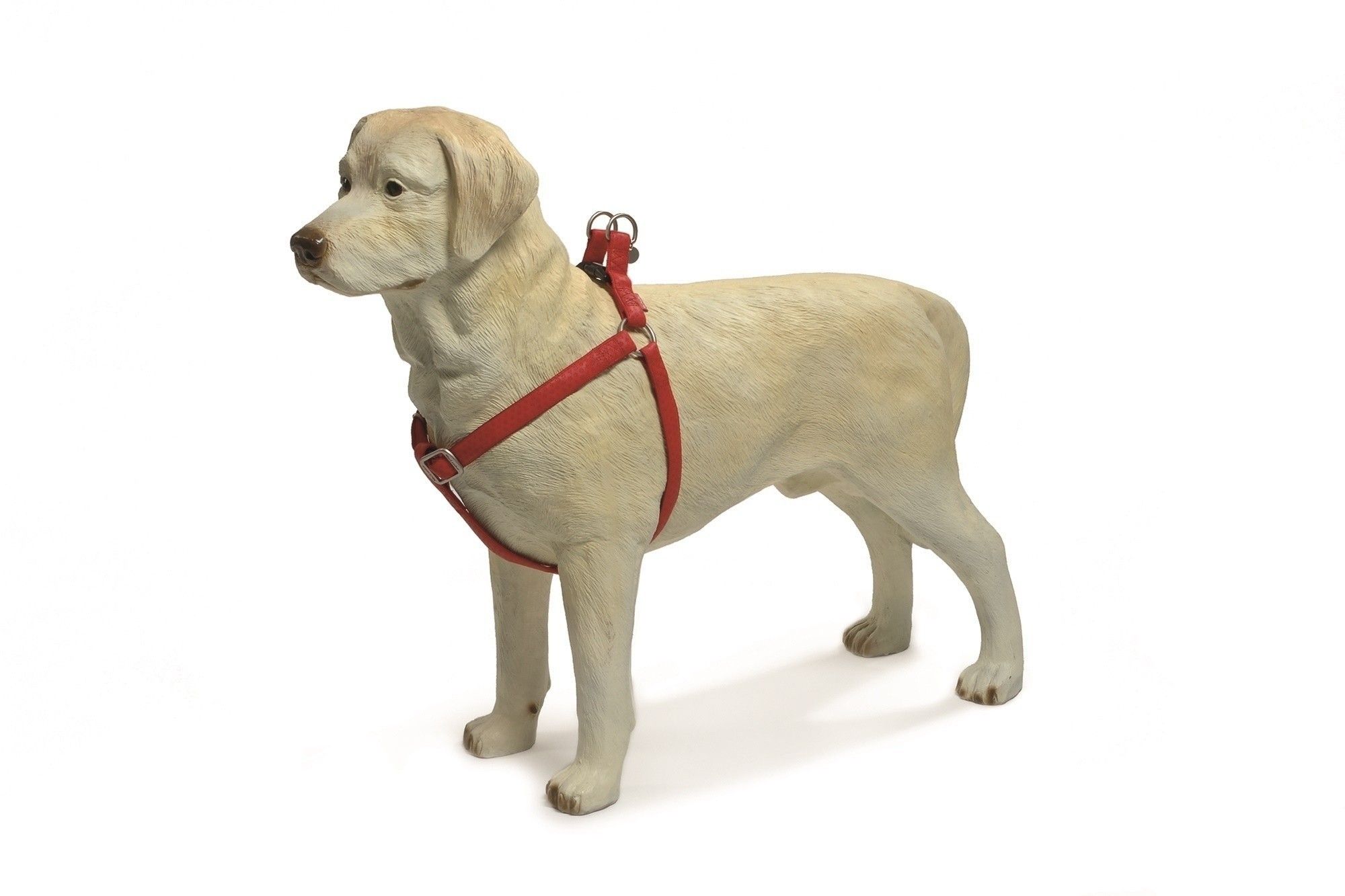 Honden borsttuig Macleather Beeztees rood