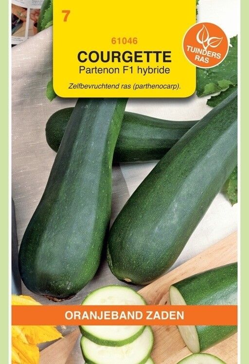 Courgette Partenon F1 Hybride Oranjeband