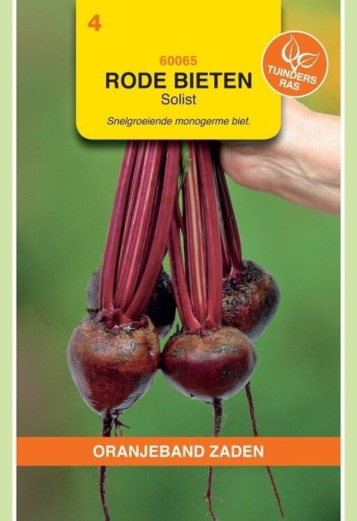 Rode Bieten Solist (Monogerm) Oranjeband