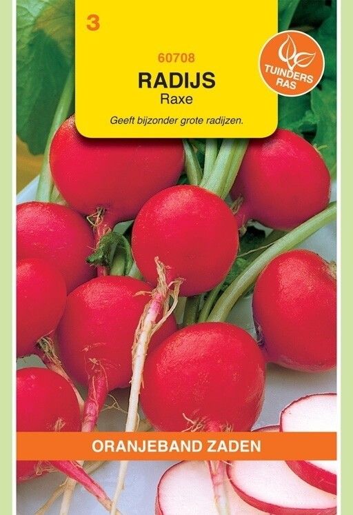 Radijs Raxe Oranjeband