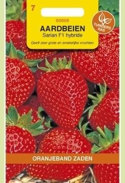 Aardbeien Sarian F1 Hybride Oranjeband