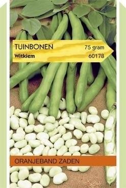Tuinbonen Witkiem Oranjeband