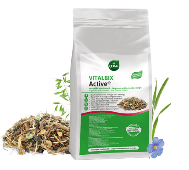 Vitalbix Active+ 22kg