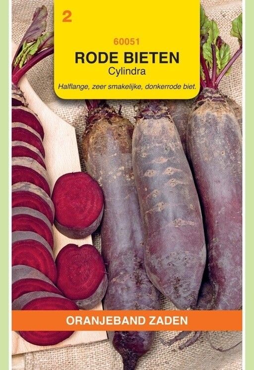 Rode Bieten Cylindra Oranjeband