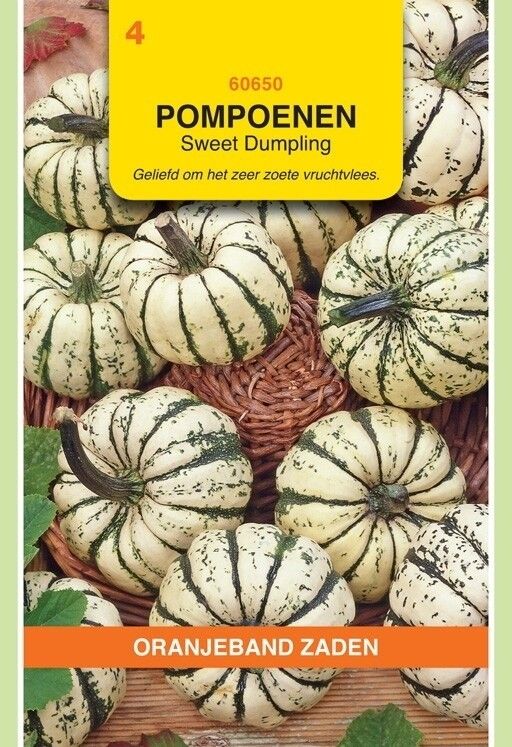 Pompoenen Sweet Dumpling Oranjeband