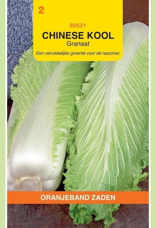 Chinese Kool Granaat Oranjeband