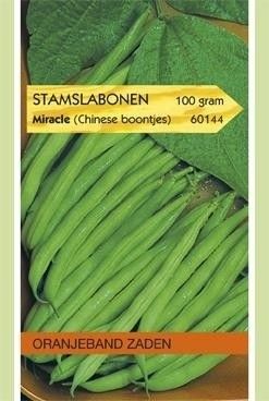 Stamslabonen Miracle Oranjeband