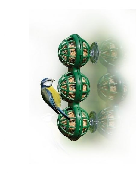 Raamfeeder voor 3 mezenbollen