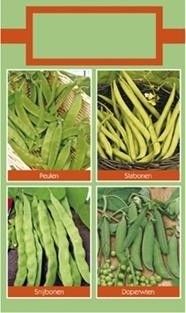 Stamslabonen Paloma 50 gram Oranjeband