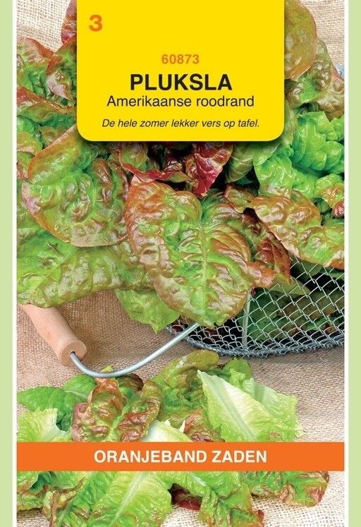 Pluksla Amerikaanse Roodrand zaad Oranjeband