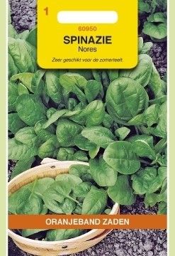 Spinazie Nores 15 gram Oranjeband
