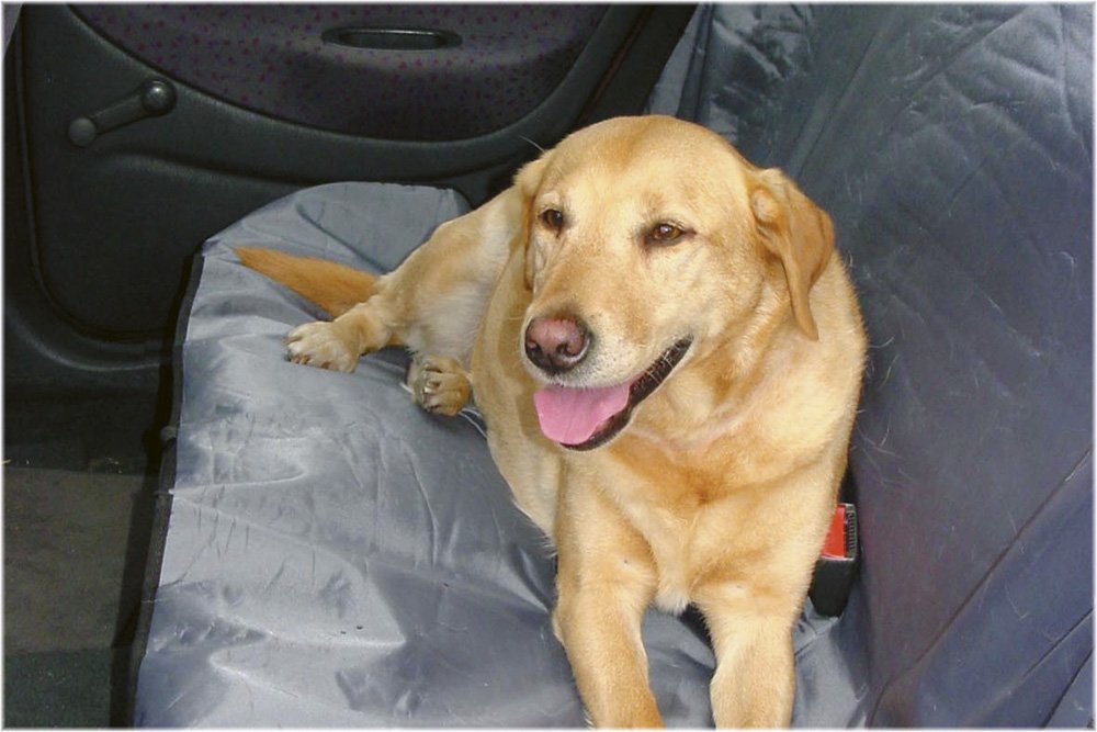 Autodeken hond waterafstotend 110 x 130cm