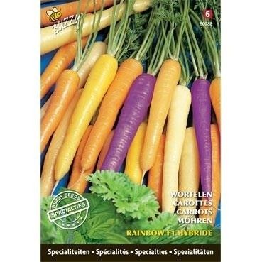 Zomerwortelen Rainbow F1 Oranjeband