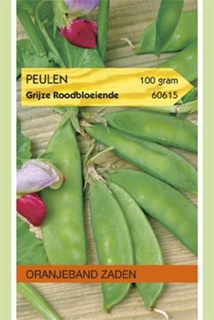 Peulen Grijze Roodbloeiende Oranjeband