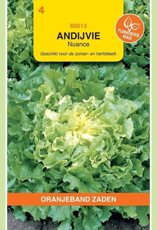 Andijvie Nuance Oranjeband