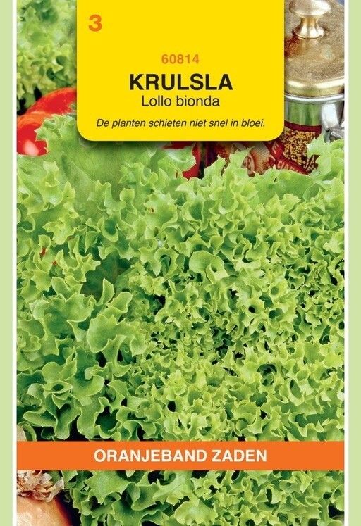 Krulsla Lollo Bionda Oranjeband