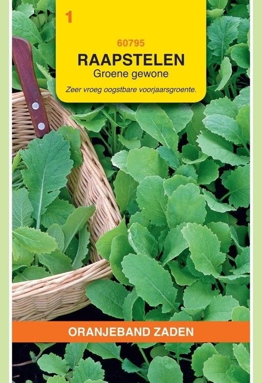 Raapstelen Groene Gewone Oranjeband