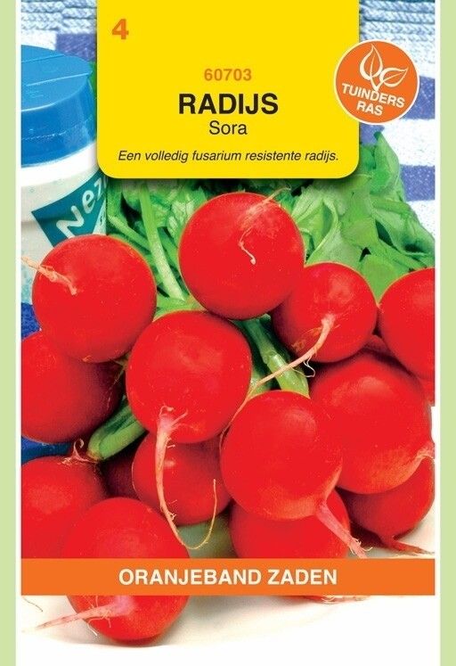 Radijs Sora Oranjeband