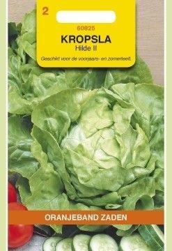 Kropsla Hilde 2 Oranjeband