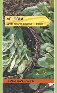 Veldsla Grote Noordhollandse Oranjeband