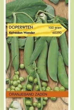 Doperwten Kelvedon Wonder Oranjeband