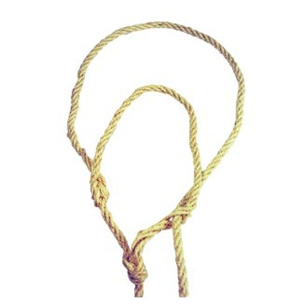 Stierenhalsters  koehalster met touwtje 12 stuks