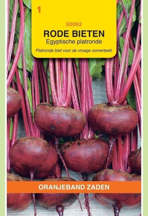 Rode Bieten Egyptische Platronde Oranjeband