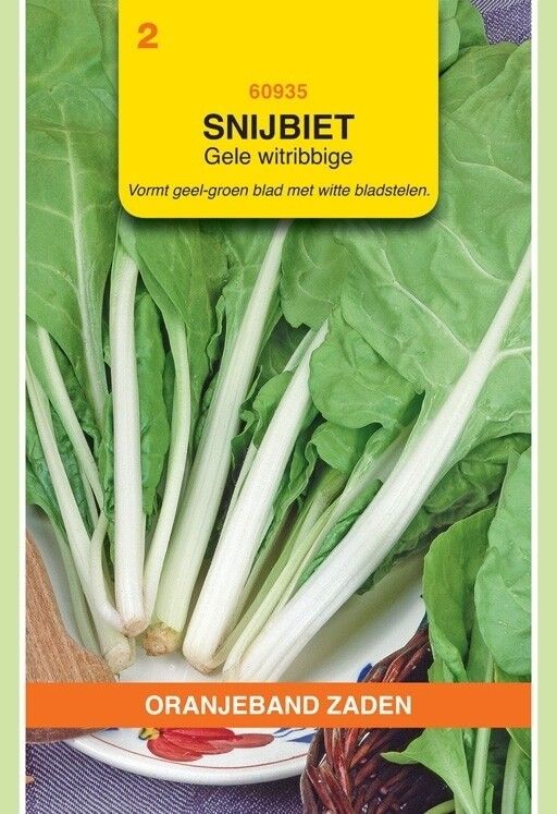 Snijbiet Gele Witribbige Oranjeband