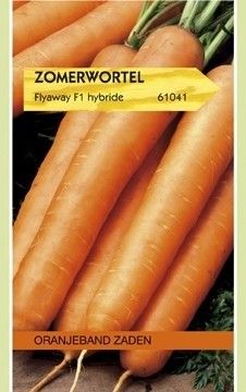 Zomerwortel Flyaway F1 Oranjeband