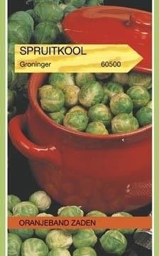 Spruitkool Groninger Oranjeband