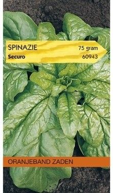 Spinazie Securo (rondzadig) 75 gram Oranjeband