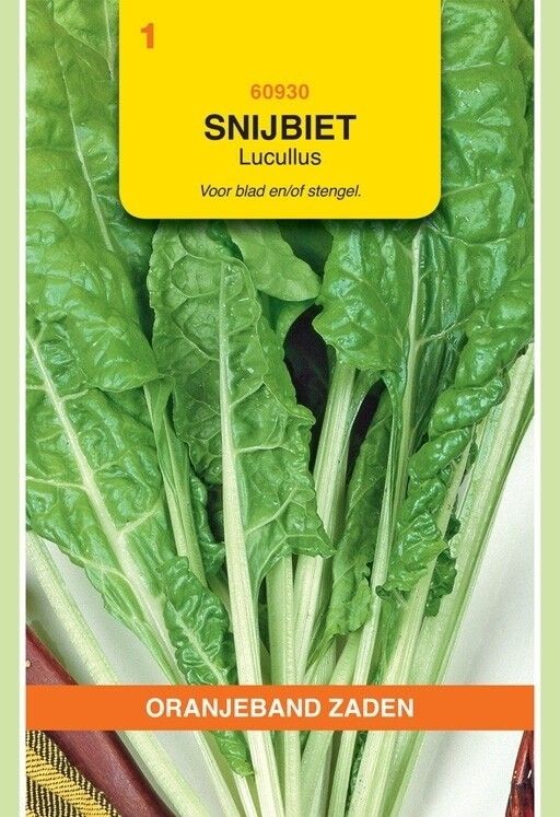 Snijbiet Lucullus Oranjeband